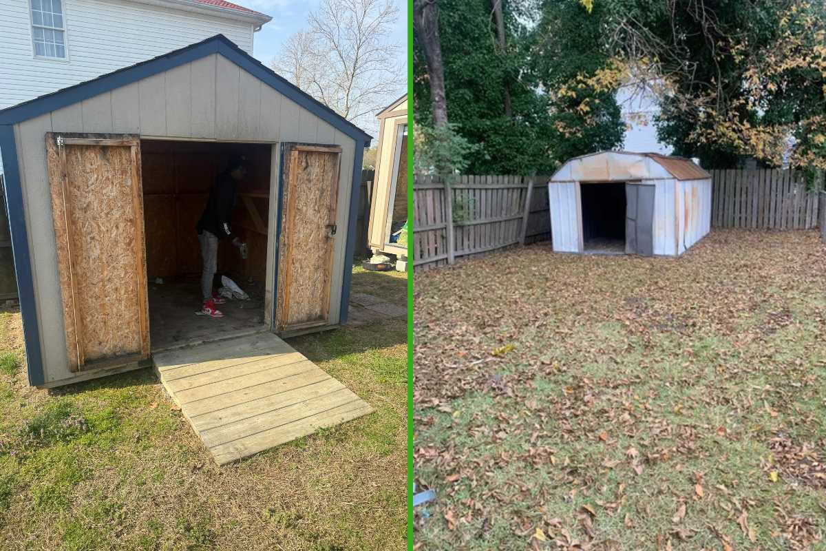 Shed Removal